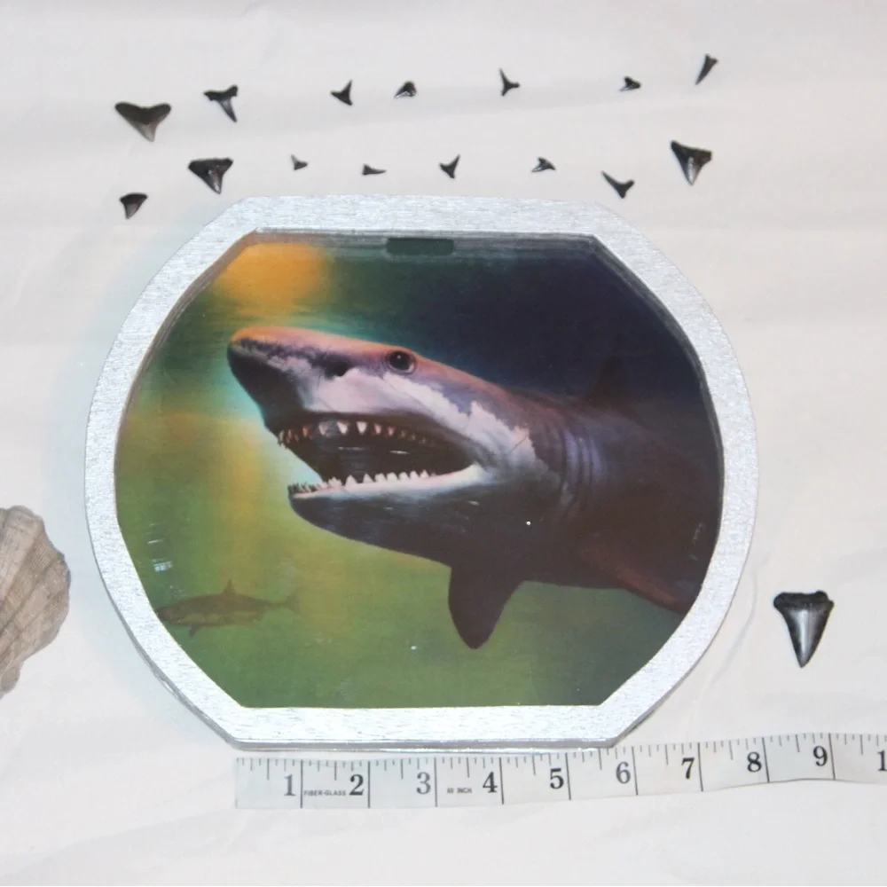 Oceanic Scene Shark teeth holders or piggy banks.